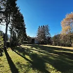 Waldnest - Seefeld *