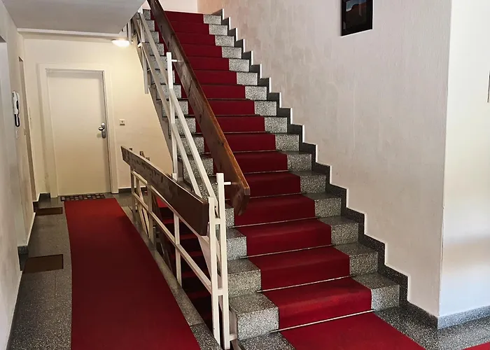 Waldnest - Seefeld *