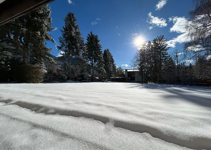 Waldnest - Seefeld *